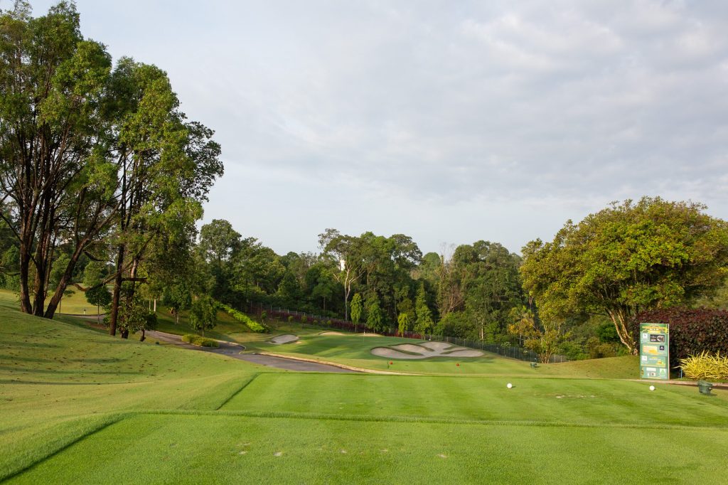 Elevated tee looking down to a bunkered green