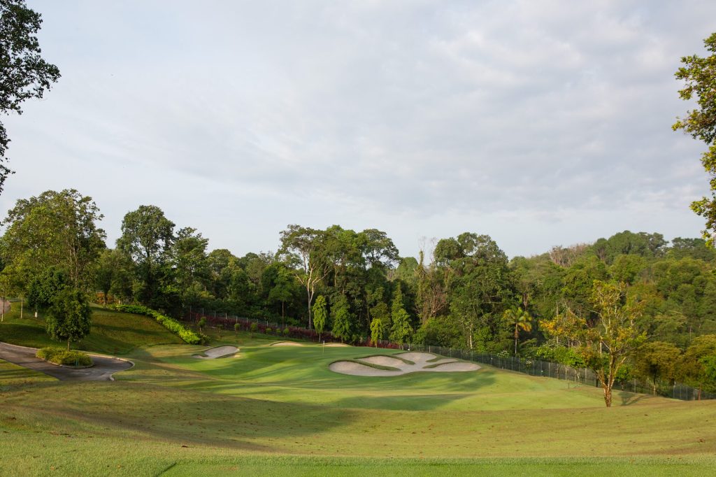 Green with three bunkers against dense trees